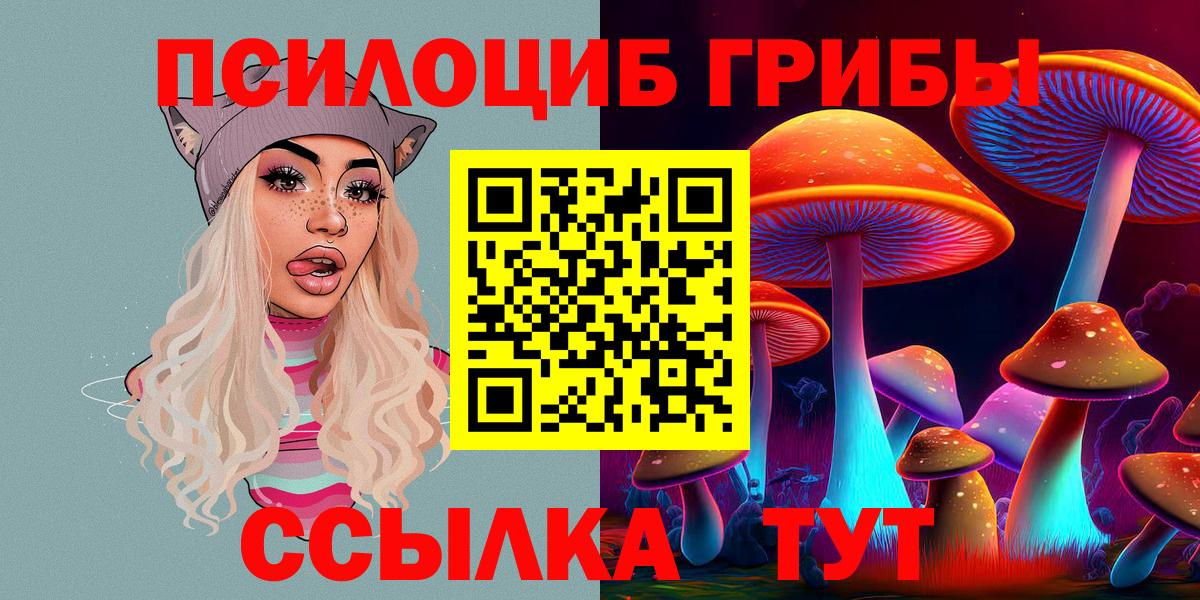Псилоцибиновые грибы мицелий Орехово-Зуево